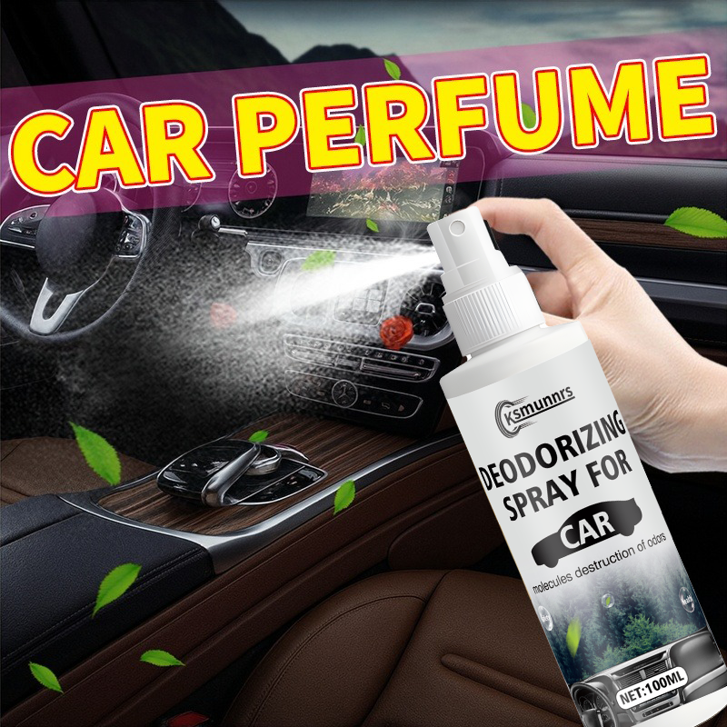 Long-lasting Air Freshener and - Odor Eliminator Car のレビューと価格